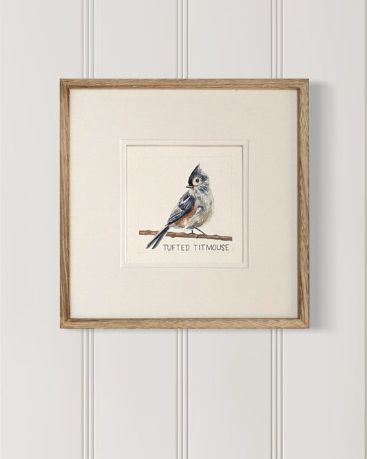 Backyard bird illustration – tufted titmouse on watercolor paper