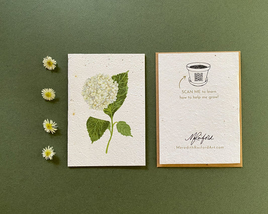 Plantable Greeting Card – Hydrangea | Wildflower Seed Paper, Eco-Friendly & Handmade