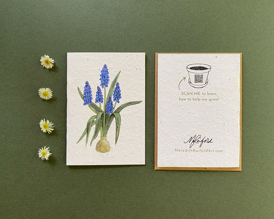 Plantable Greeting Card – Muscari | Eco-Friendly Seed Paper Wildflower Card