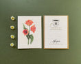 Load image into Gallery viewer, Plantable Greeting Card – Variegated French Tulips | Eco-Friendly Seed Paper Wildflower Card