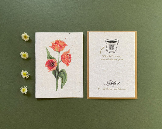 Plantable Greeting Card – Variegated French Tulips | Eco-Friendly Seed Paper Wildflower Card