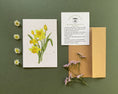 Load image into Gallery viewer, Plantable Greeting Card – Daffodils | Eco-Friendly Seed Paper Wildflower Card