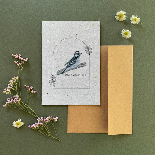 downy woodpecker seed card with envelope – plantable wildflower paper