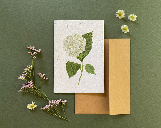 hydrangea seed card with envelope – plantable wildflower paper