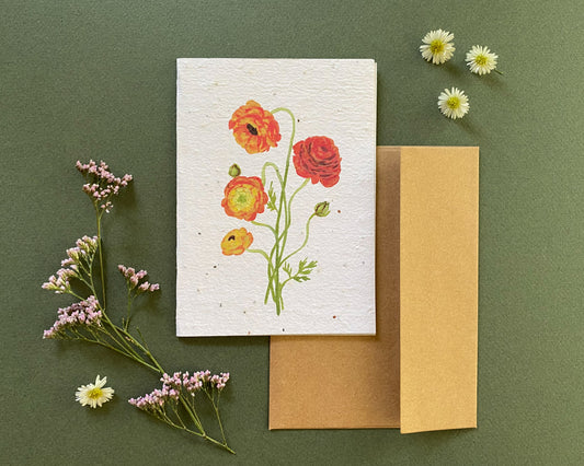 ranunculus seed card with envelope – plantable wildflower paper