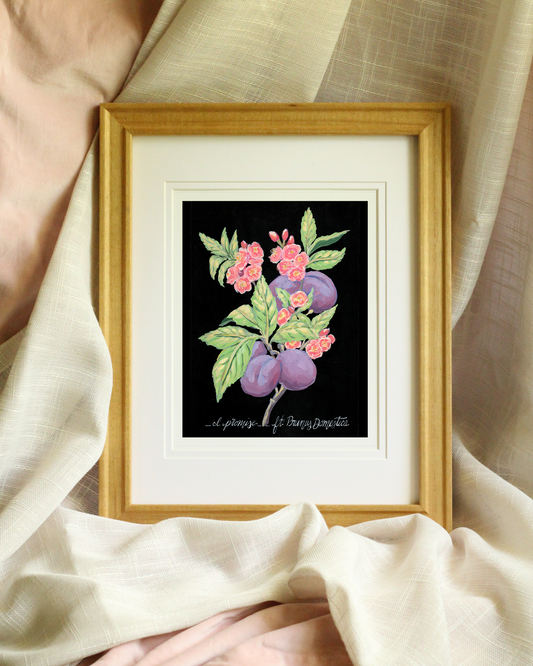 Romantic floral wall art – giclée botanical print of plum tree
