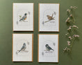 Load image into Gallery viewer, Plantable Greeting Card – Tufted Titmouse | Wildflower Seed Paper, Eco-Friendly & Handmade