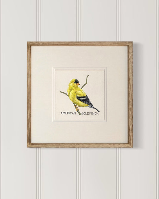 Backyard bird illustration – American goldfinch on watercolor paper