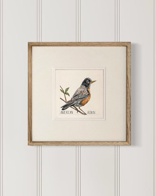 Backyard bird art – American robin on watercolor paper