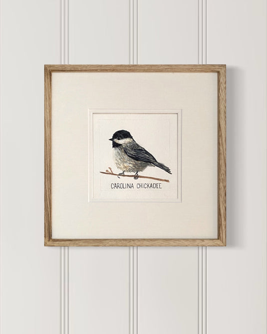 Backyard bird illustration – carolina chickadee on watercolor paper