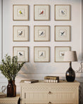 Load image into Gallery viewer, fine art prints for birders and bird enthusiasts featuring common north american birds