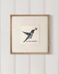Load image into Gallery viewer, Backyard bird illustration – Ruby-Throated Hummingbird on watercolor paper