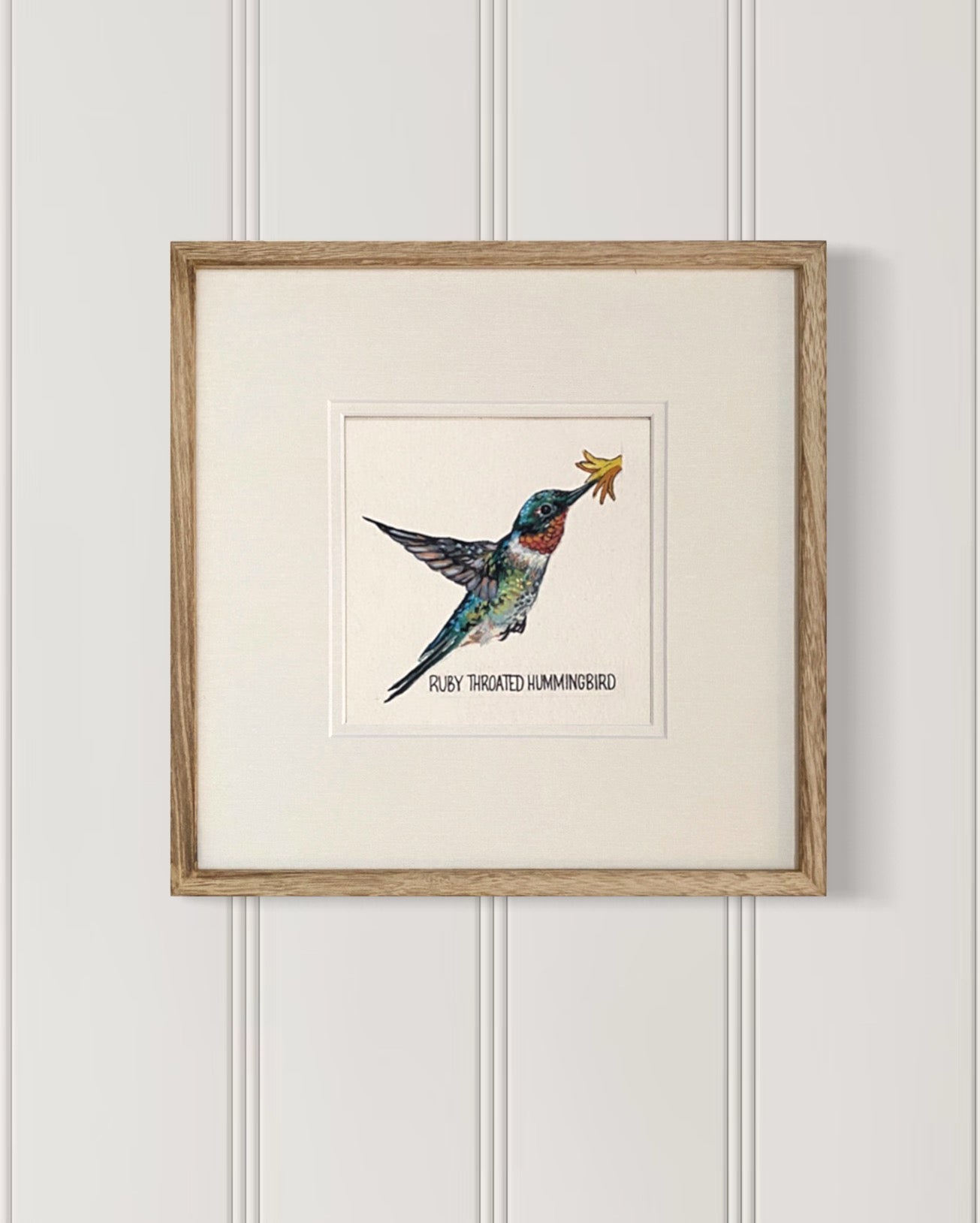 Backyard bird illustration – Ruby-Throated Hummingbird on watercolor paper