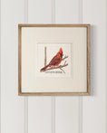 Load image into Gallery viewer, Backyard bird illustration – Northern Cardinal on watercolor paper