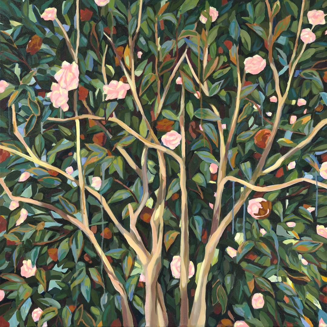 Our Winter Camellia – Original on Canvas | 36x36