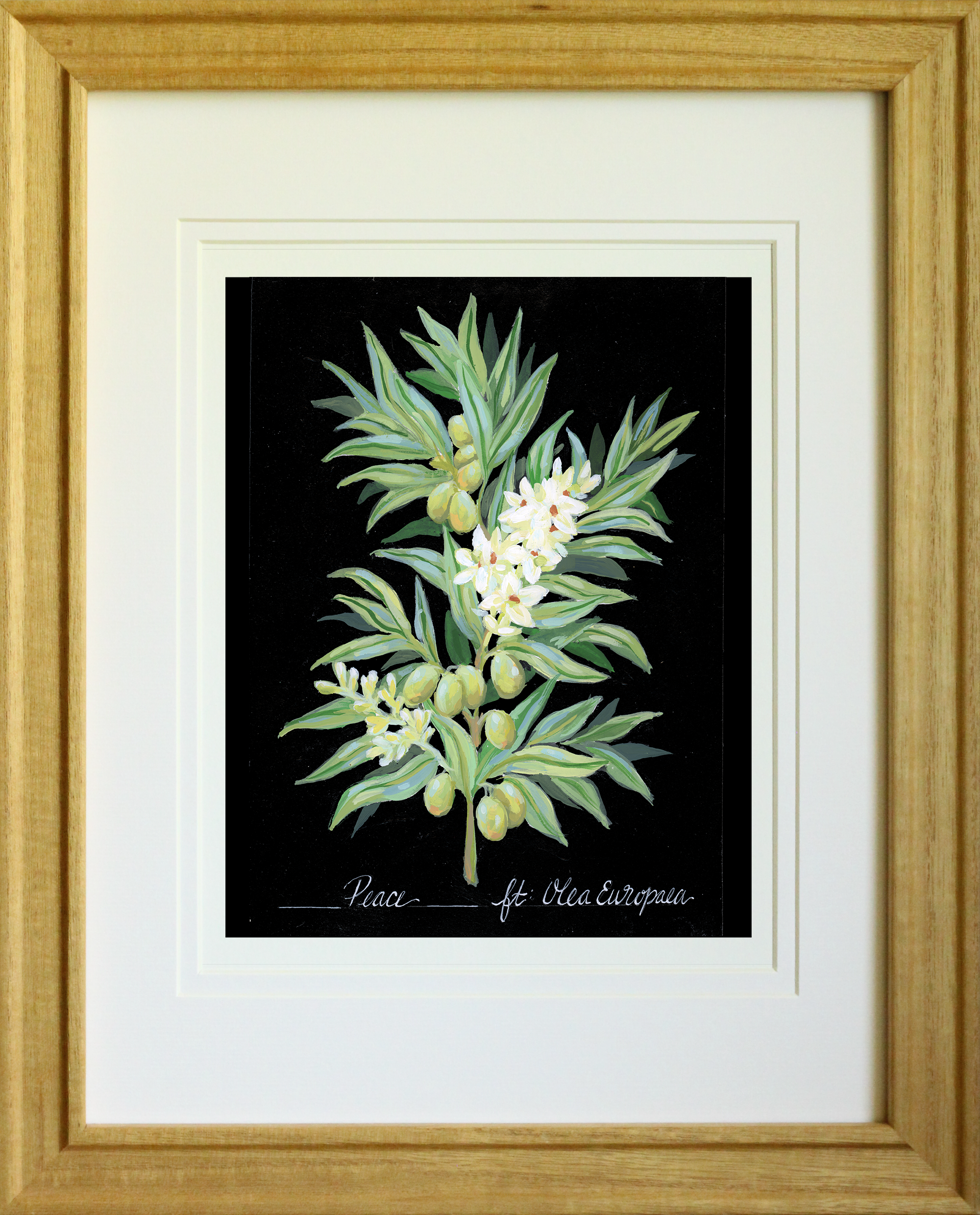 Peace – Olive Branch Botanical Art Print