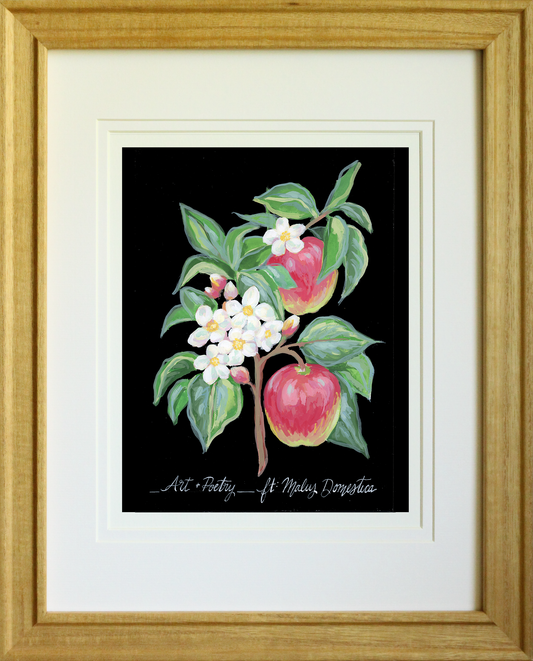 Art and Poetry – Apple Tree Botanical Art Print