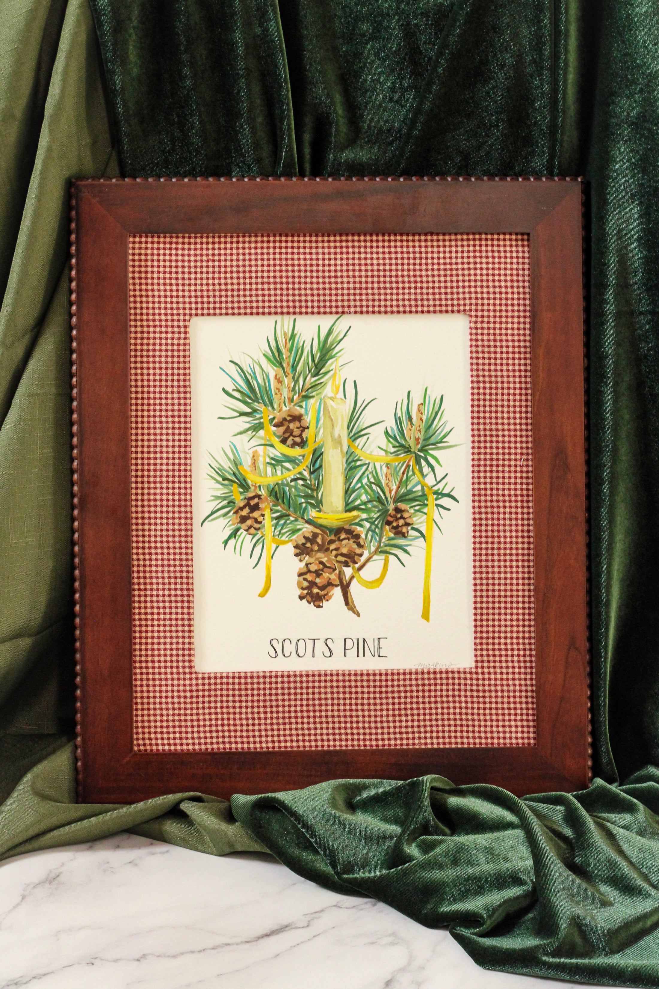 Scotts Pine Original Watercolor – Framed Christmas Tree Art by Meredith Raiford