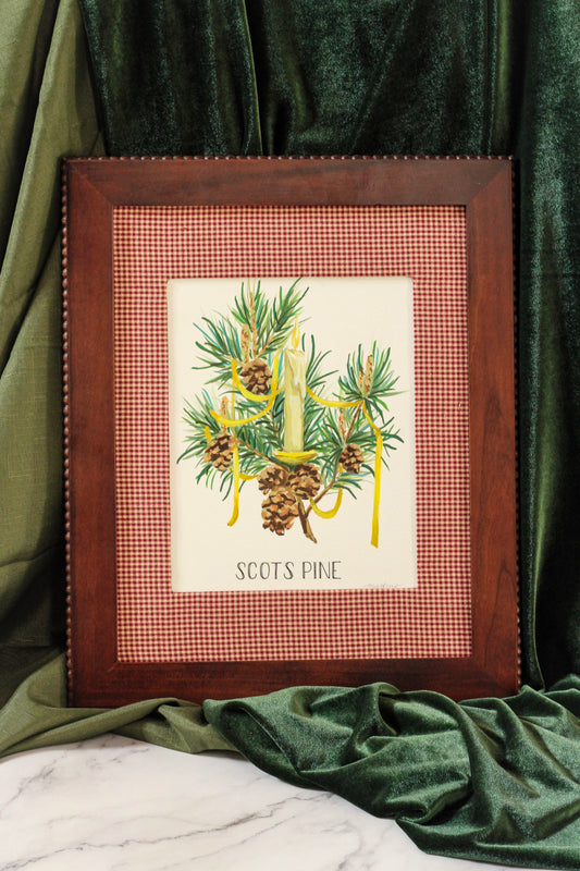 Scotts Pine Original Watercolor – Framed Christmas Tree Art by Meredith Raiford