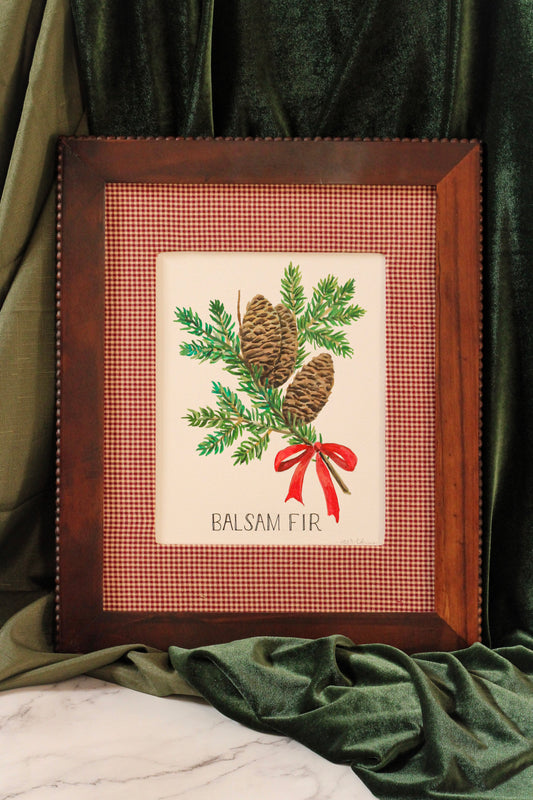 Balsam Fir Original Watercolor – Framed Christmas Tree Art by Meredith Raiford