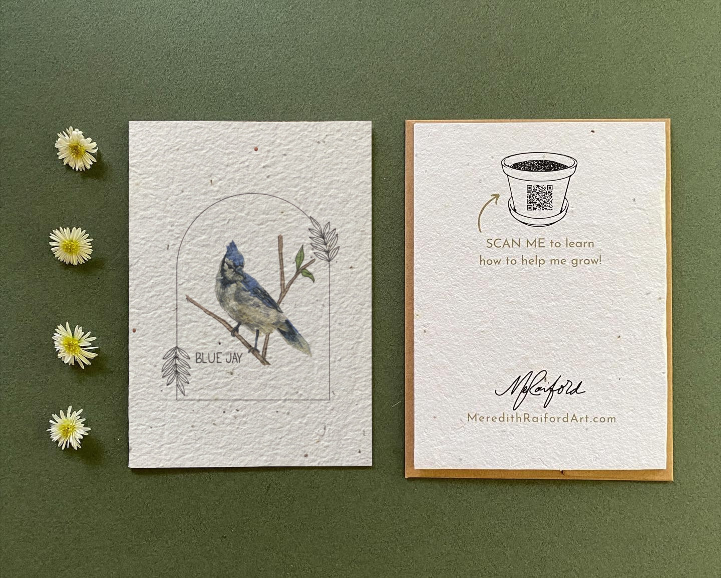 Plantable Greeting Card – Blue Jay | Wildflower Seed Paper, Eco-Friendly & Handmade
