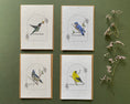 Load image into Gallery viewer, Plantable Greeting Card – Blue Jay | Wildflower Seed Paper, Eco-Friendly & Handmade
