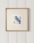 Load image into Gallery viewer, Backyard bird painting – Eastern bluebird on watercolor paper
