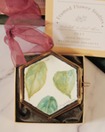 Load image into Gallery viewer, Leaf Study no.3 - Handpainted Watercolor Ornament
