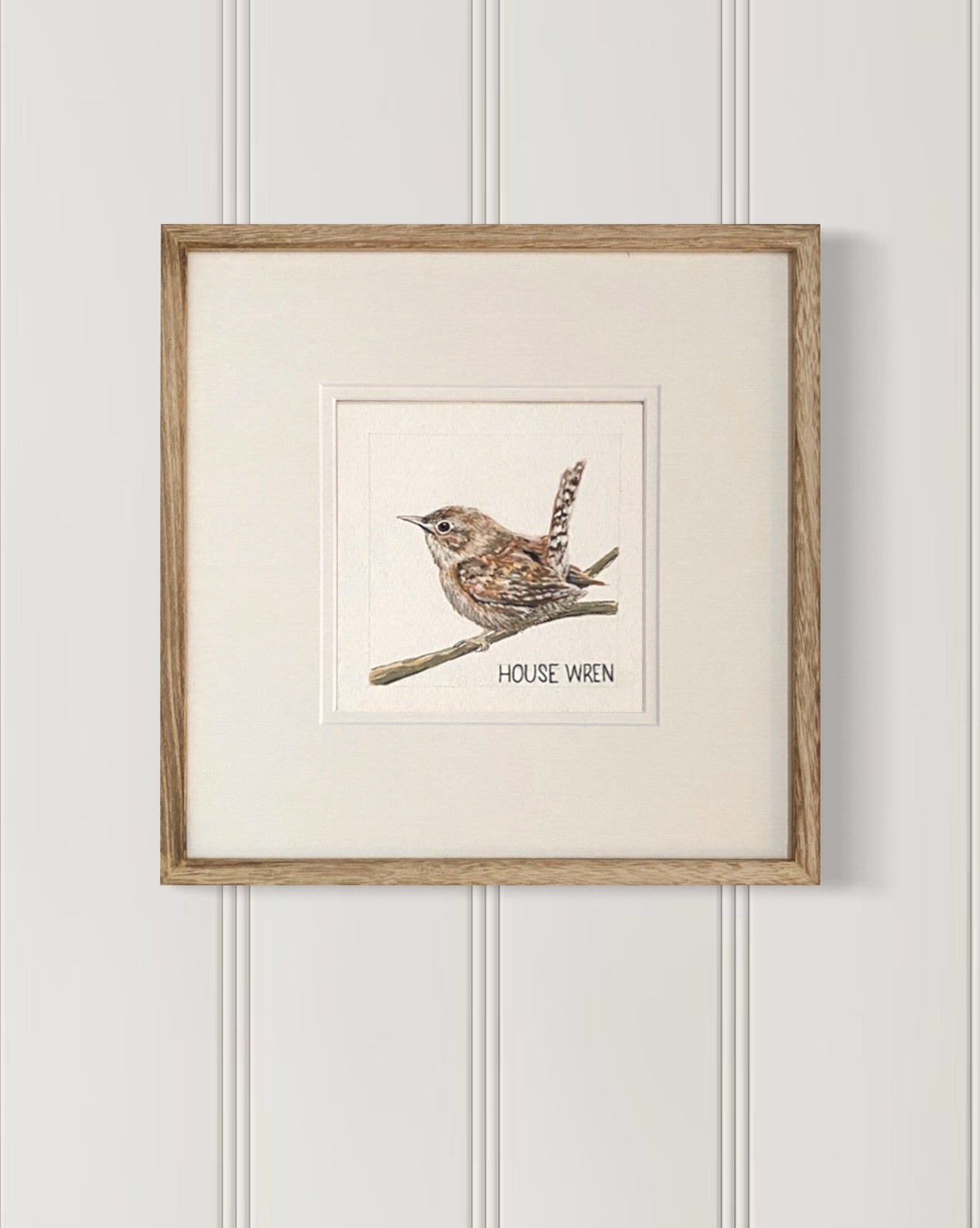 Backyard bird illustration – house wren on watercolor paper