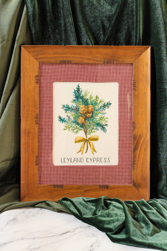 handpainted original evergreen tree on watercolor paper