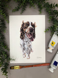 Load image into Gallery viewer, custom pet portrait commission with a clean back ground of a spaniel by meredith raiford akins
