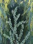 Load image into Gallery viewer, Sway with Me – Original on Canvas | 48x36
