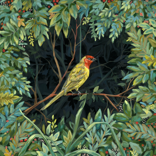 Red Headed Tanager in the Secret Garden – Original on Canvas | 20x20